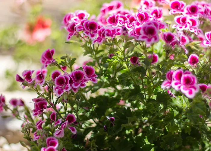 Residenziale Menhirs Aparthotel Putzu Idu