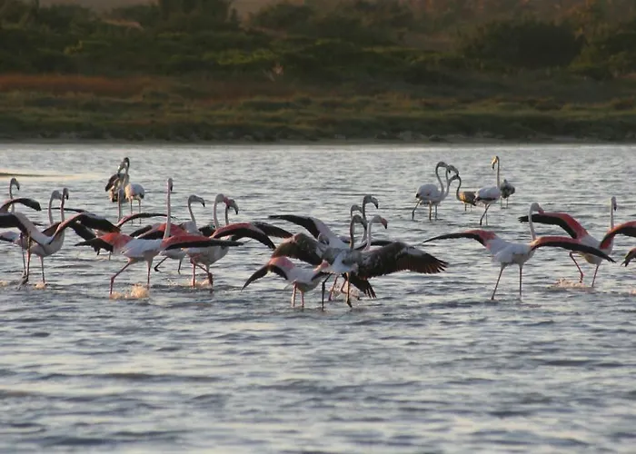 Residenziale Menhirs Aparthotel